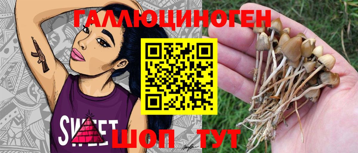 Псилоцибиновые грибы Magic Shrooms  Вход с VPN  Ачинск 