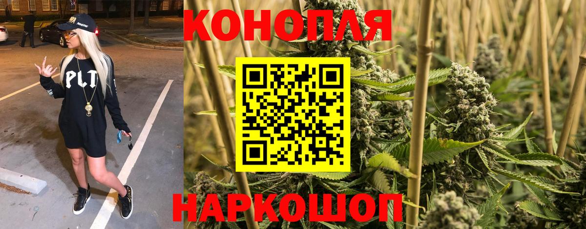 Шишки марихуана сатива  Вход с VPN  Ачинск  Каннабис планчик 
